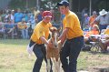 ponypenning_072810_393