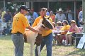 ponypenning_072810_396