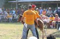 ponypenning_072810_403