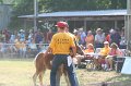 ponypenning_072810_407