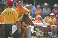 ponypenning_072810_408