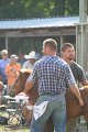 ponypenning_072810_412