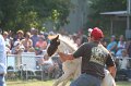 ponypenning_072810_416