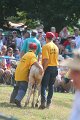 ponypenning_072810_425