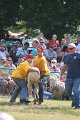 ponypenning_072810_429