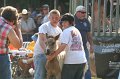 ponypenning_072810_432