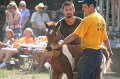 ponypenning_072810_436