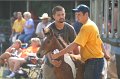 ponypenning_072810_439