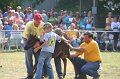 ponypenning_072810_451