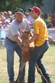 ponypenning_072810_454