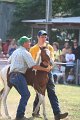 ponypenning_072810_457