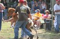 ponypenning_072810_459