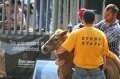 ponypenning_072810_467