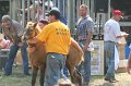 ponypenning_072810_468