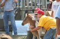 ponypenning_072810_477