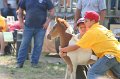 ponypenning_072810_478
