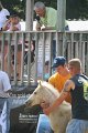 ponypenning_072810_480