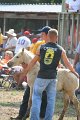 ponypenning_072810_481