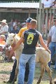 ponypenning_072810_482