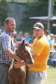 ponypenning_072810_489
