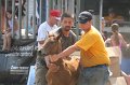 ponypenning_072810_498