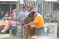 ponypenning_072810_499