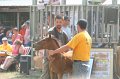 ponypenning_072810_501