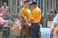 ponypenning_072810_508
