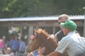 ponypenning_072810_513