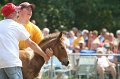 ponypenning_072810_520