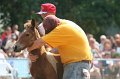 ponypenning_072810_522