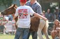 ponypenning_072810_523