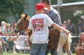 ponypenning_072810_524