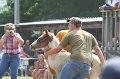 ponypenning_072810_527