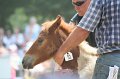 ponypenning_072810_548