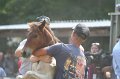 ponypenning_072810_550
