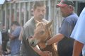 ponypenning_072810_555