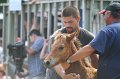 ponypenning_072810_556