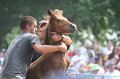 ponypenning_072810_558