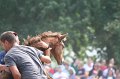 ponypenning_072810_560