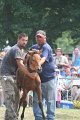 ponypenning_072810_562