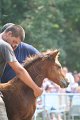 ponypenning_072810_563