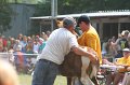 ponypenning_072810_565