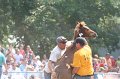 ponypenning_072810_566