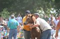 ponypenning_072810_568