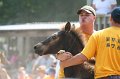 ponypenning_072810_572