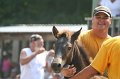ponypenning_072810_574