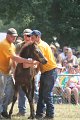 ponypenning_072810_579