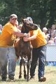 ponypenning_072810_581
