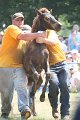 ponypenning_072810_582